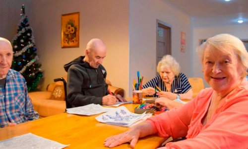 Частный дом престарелых «Родные просторы» на ул. Решетникова