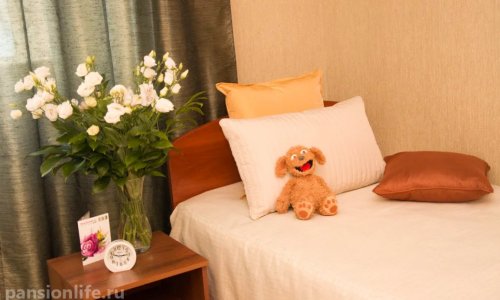 Пансионат СКЖ (Ситема Качества Жизни) Лахта-Ольгино - 9