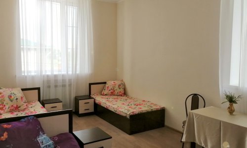 Пансионат «Домашний уют» посёлок Мшинская цены