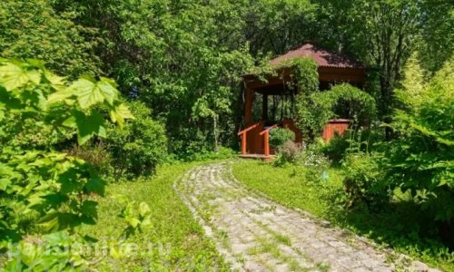 Пансионат «Полет мечты» Всеволожск цены