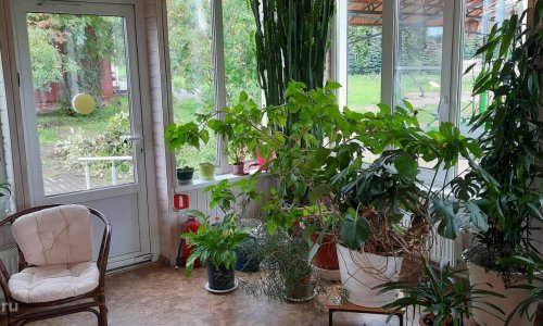 Христианский дом милосердия в Колтушах - 11