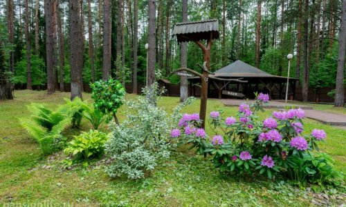 Реабилитационно-восстановительный центр «Лесное»