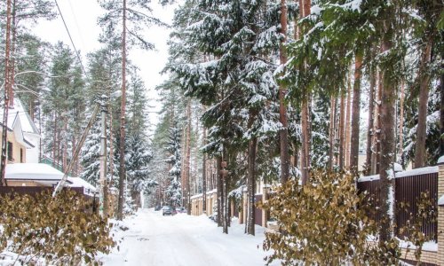 Пансионат «Династия» - 9