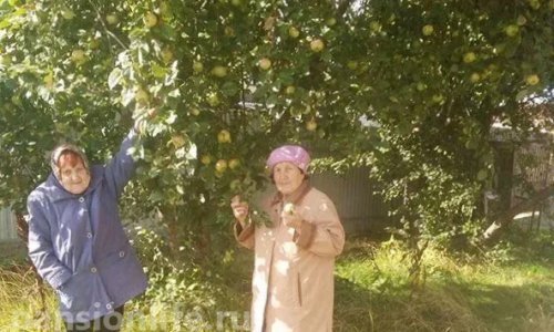 Пансионат «Счастье» Александровская-Пушкин - 6