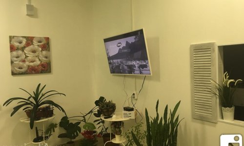 Пансионат Сестрорецк «Гармония» - 8