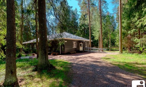 Пансионат Рощино «Гармония» отзывы