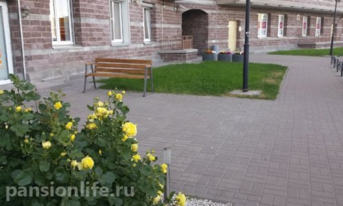 Пансионат «Оранжевый кот»