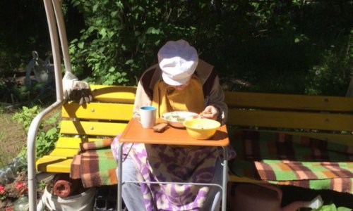 Центр социального обслуживания «Ржевка» цены