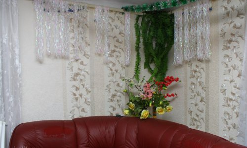 Центр социального обслуживания «Ржевка» - 9