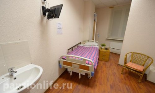 Пансионат «Европейский» (Яблоневый сад) - фото