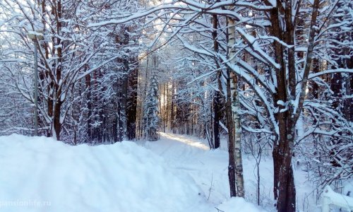 Пансионат  «Ольшаники» - 8