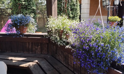 Пансионат «Долголет» цены