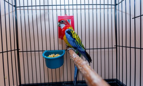 Пансионат «Ваш Оберег» Пролетарский - 43