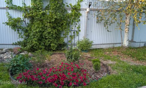 Пансионат «Мудрость и Милосердие»