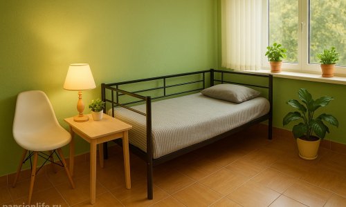 Пансионат «Счастье» Коннолахтинский проспект - 12