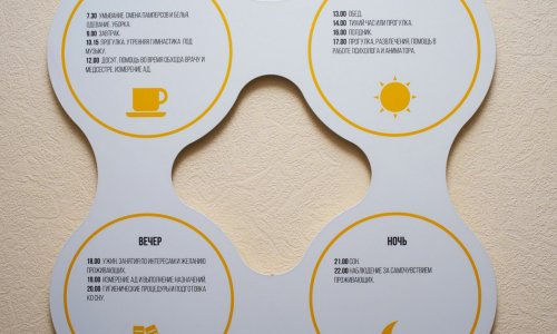 Пансионат «Леснозаводской» сети Опека