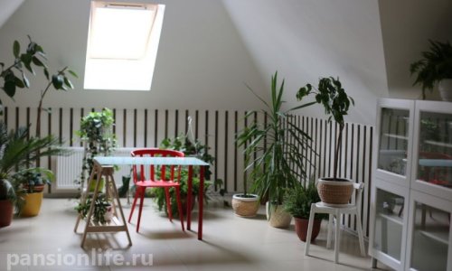 Пансионат «Европейский» сети Опека