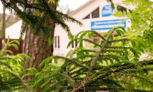 Пансионат «Всеволожский» сети Опека