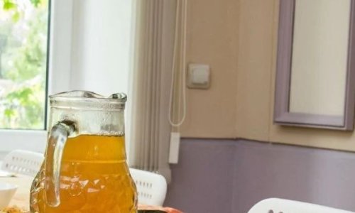 Пушкинский (Царскосельский) пансионат цены