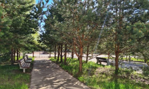 Частный дом престарелых Котлин цены