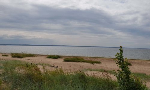 Частный дом престарелых Котлин - 9