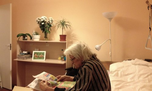 Пансионат Русь на Большом проспекте отзывы