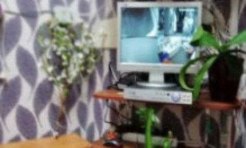 Пансионат «Евгения» на Суворовском цены