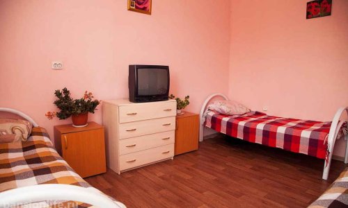 Пансионат Ропша