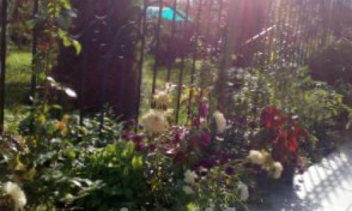 Пансионат «Наш Дом» в Александровке - 8