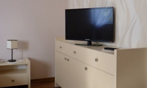 Частный пансионат «Дача» Коломяжский - 5