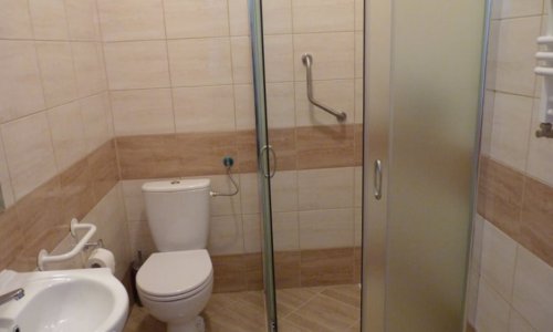 Частный пансионат «Дача» Коломяжский - 12