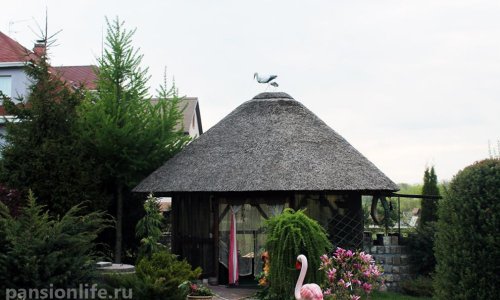 Пансионат «Дача» Мурино