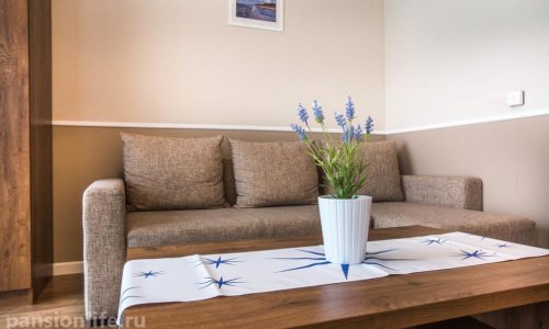 Пансионат «Дача» Мурино - 8