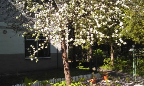 Пансионат «Почтенный Пансион» отзывы