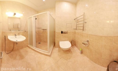 Дом ветеранов сцены имени М.Г. Савиной - 8