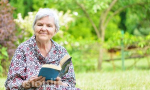 «Флагман» во Всеволжске - фото
